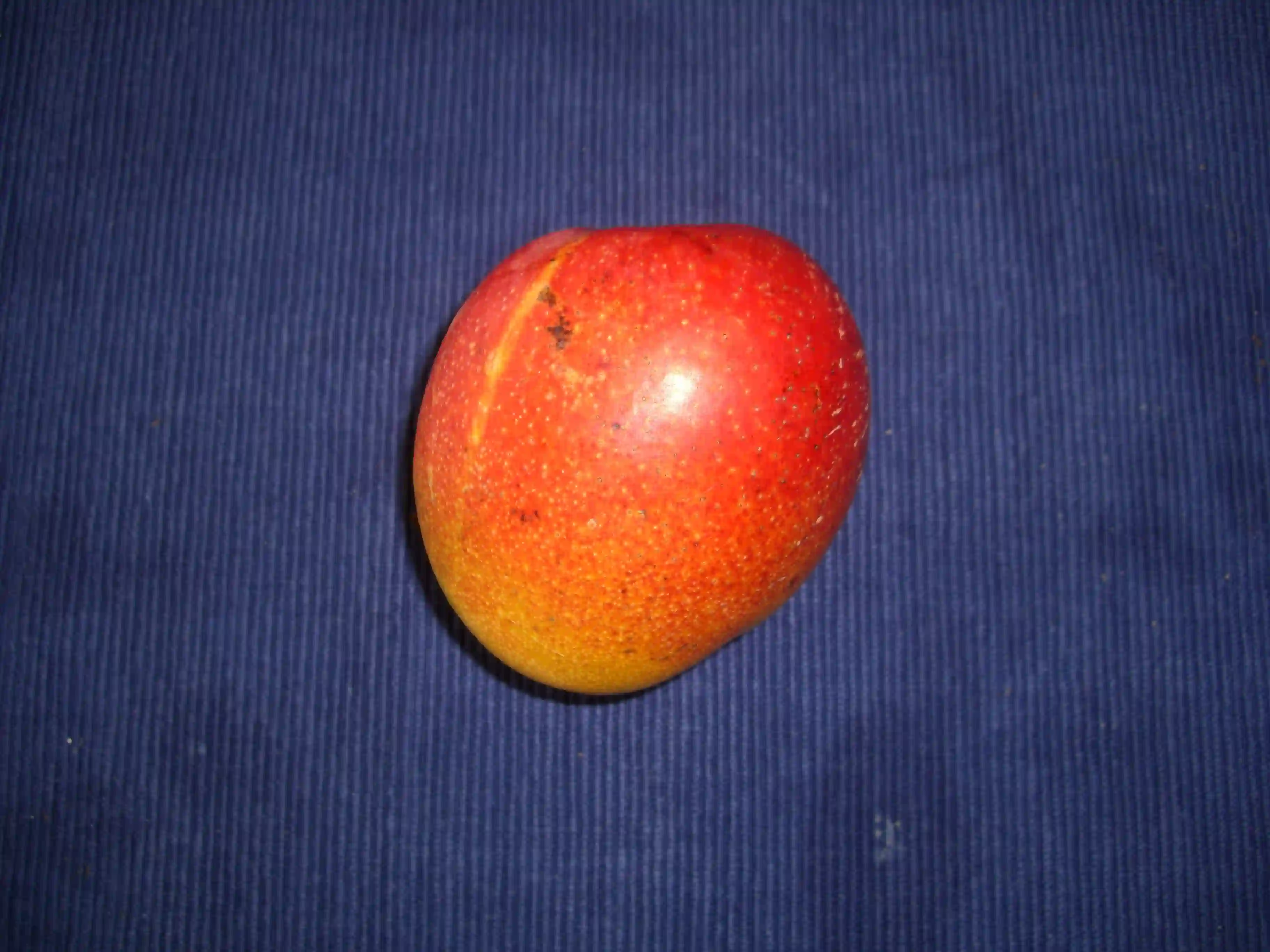 Haden Mango (હેડન કેરી)